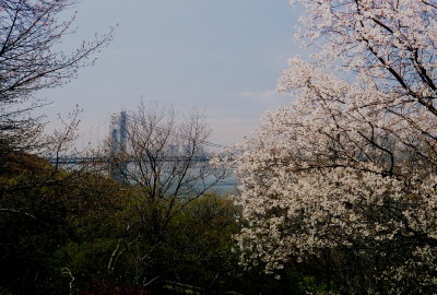 View of the George Washington Bridge from Fort Tryon Park, NYC.