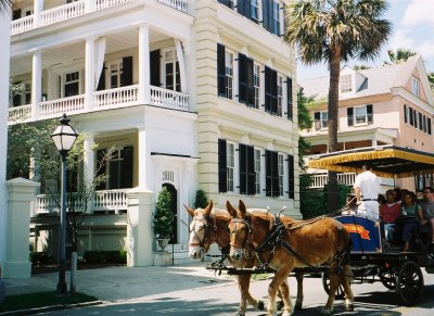 The charm of Charleston, SC.