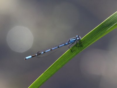 g3/08/900808/3/124887425.XyKV3nDI.jpg