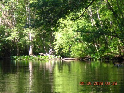 Kayaking