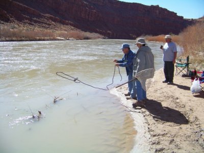 Bob tries to rope one!