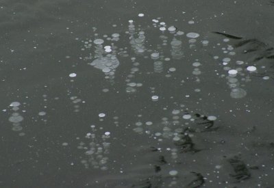 frozen ponds 12-11-09 013.jpg