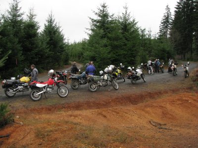 All 12 bikes on Wolf Pt. Rd.