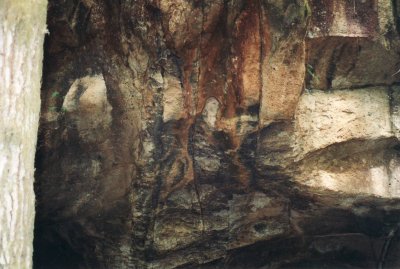Cascadia Cave 3