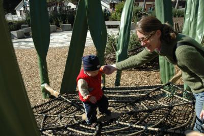 Caught in a Spider Web