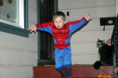 Spiderman Leaping Into Action