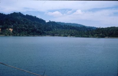 76.Bougainville.jpg