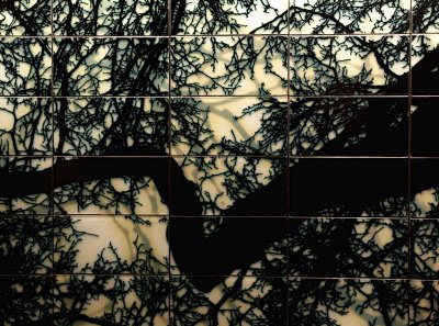 Tree tiles