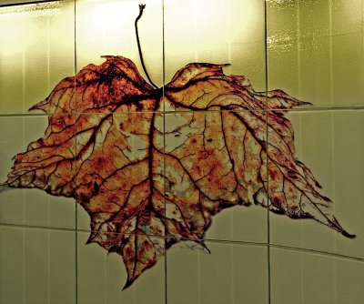 Fall leaf
