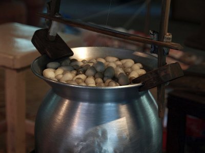 Cocoons cooking