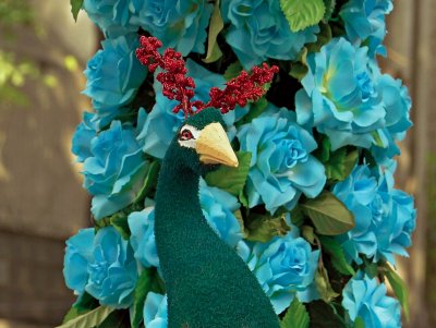 Peacock in the flowers