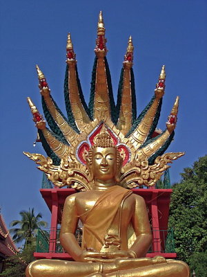 Image of the Buddha protected by a naga