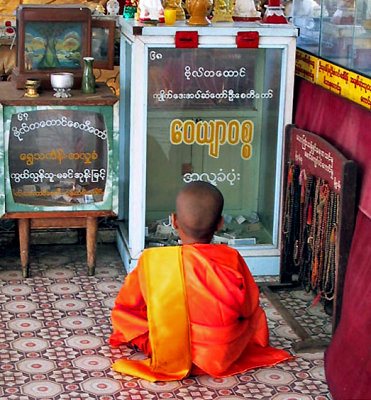 Young monk in orange