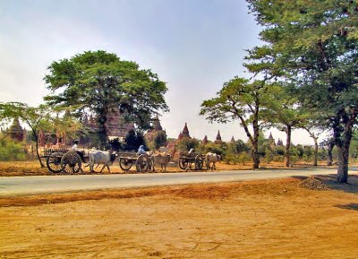 Bullock carts and temples