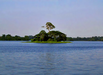 Lake Inya by the University of Rangoon