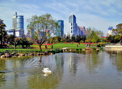 Pond in Star Park