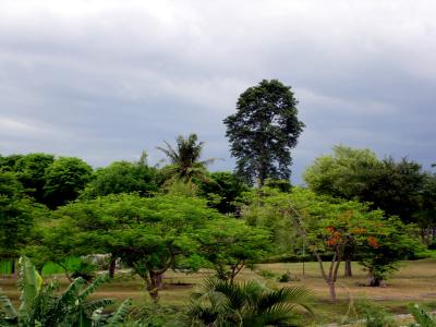 Prambana Temple park