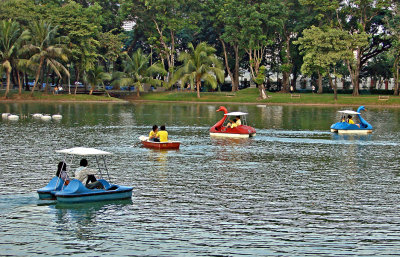 Many boats