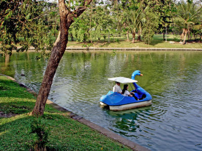 Couple in a swanboat