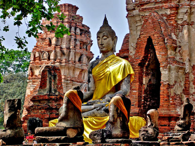 The Buddha enrobed