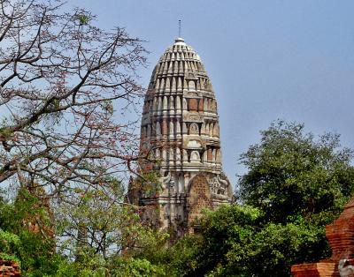 Prang seen thru trees