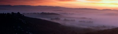 _MG_0209+.jpg