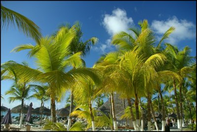 Aruba