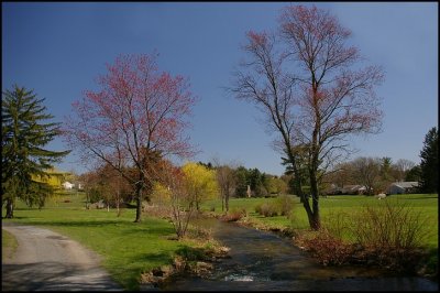 IMGP3240a.JPG