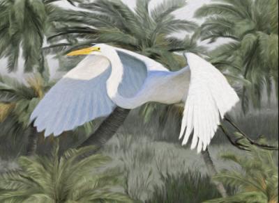Flight of the Egret