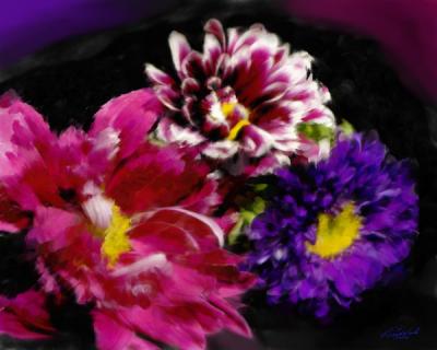 Colorful Flowers