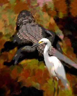Great Egret and Gator