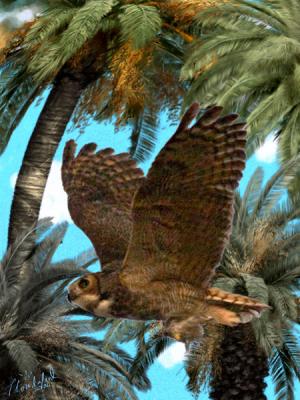Great-Horned-Owl-in-flight.