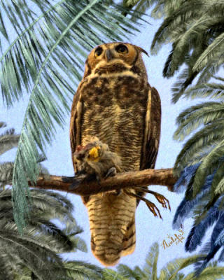 Owl with Heron