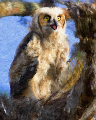 Painted Great Horned Owl chick