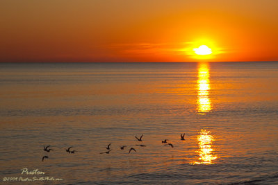 November 2009 Blue Mountain Beach Florida