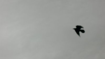 g3/09/378009/3/121248915.Uid9D3Ia.jpg