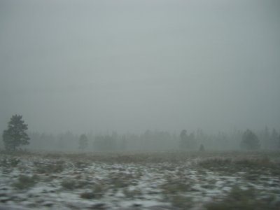 g3/09/378009/3/121248924.W3ewjZT3.jpg