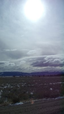 g3/09/378009/3/121248941.w7cs4rJw.jpg