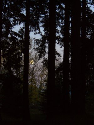 CIMG8447.resized.JPG
