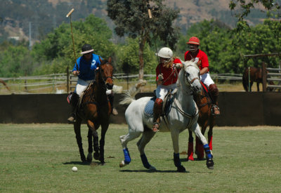 Margarita Invitational 103