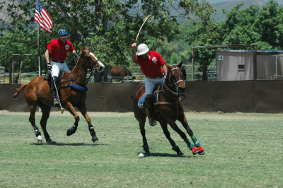 Margarita Invitational 315