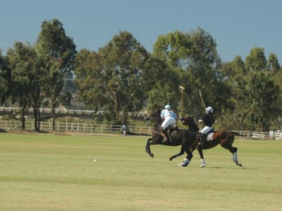 San Diego Polo Club