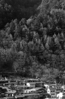 g3/09/415109/3/122966464.oIy2i9La.jpg