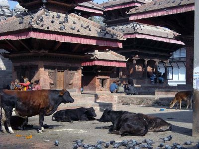 durbur square.jpg