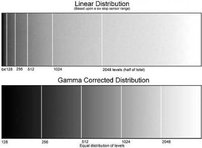 Linear-distribution-500.jpg
