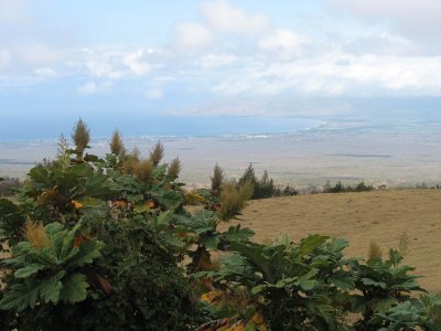 Kihei views from Kula, Maui
