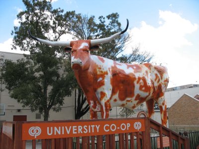 Cow statue at University Co-op, Austin