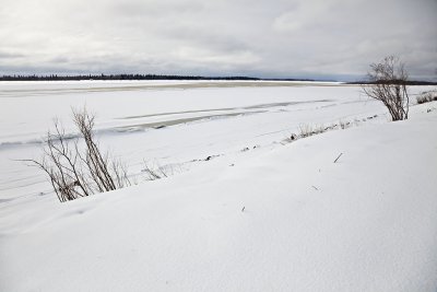 Moose River looking upstream 2009 April 25th