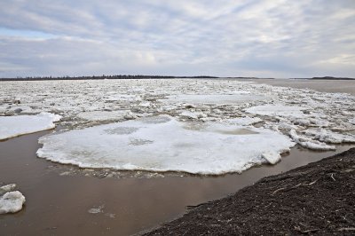 Ice on the Moose River 2009 May 1st 7 pm