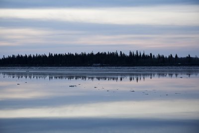 Butler Island 2009 May 6